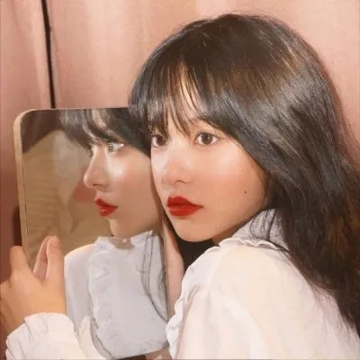 秋田犬蓬夫